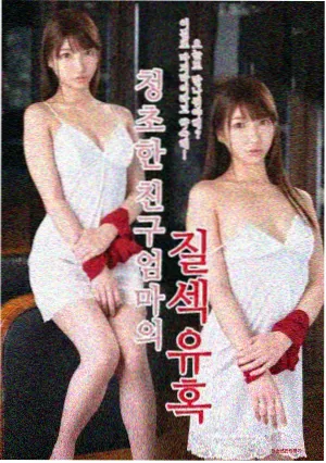 长夜食堂 在线观看高清电视剧免费